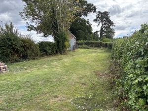 Garden- click for photo gallery